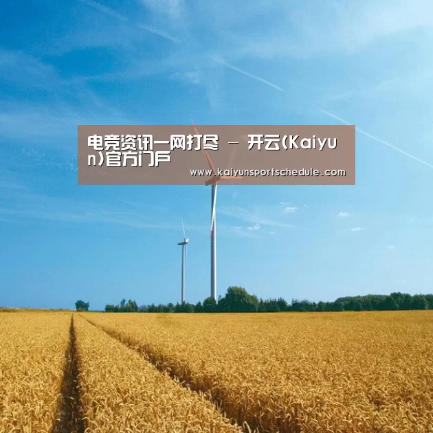 风能