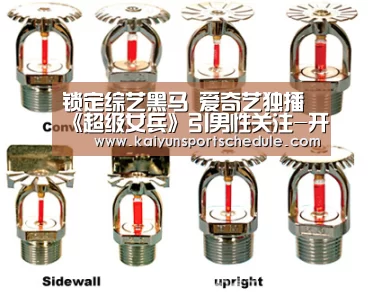 锁定综艺黑马 爱奇艺独播《超级女兵》引男性关注-开云体育(图1) 开云官网