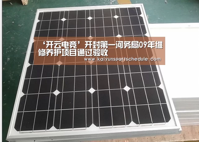 ‘开云电竞’开封第一河务局09年维修养护项目通过验收(图2) 开云体育