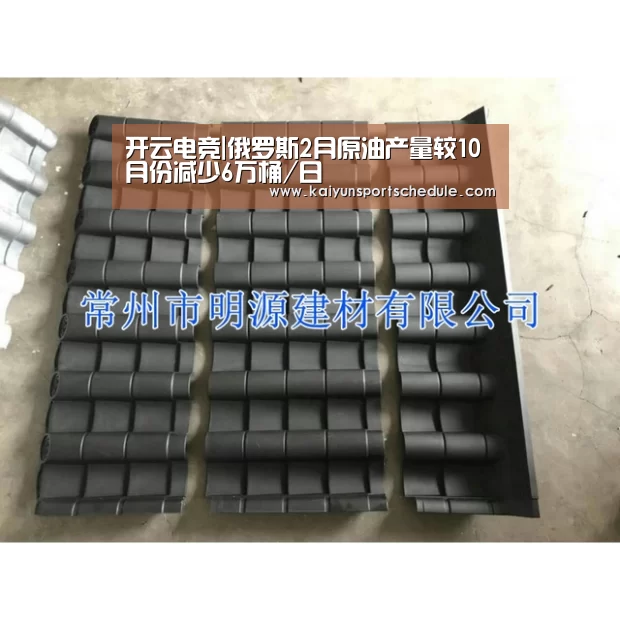 开云电竞|俄罗斯2月原油产量较10月份减少6万桶/日(图3) 开云首页