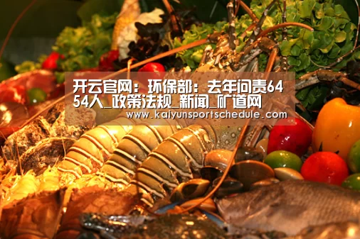 开云官网:环保部:去年问责6454人_政策法规_新闻_矿道网(图1) 开云体育