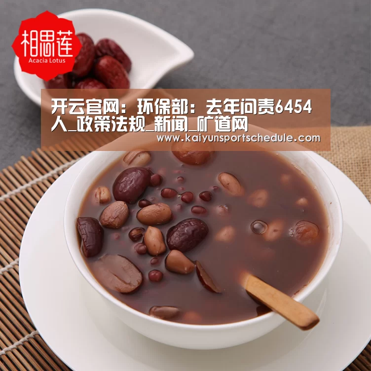 开云官网:环保部:去年问责6454人_政策法规_新闻_矿道网(图2) 开云电竞