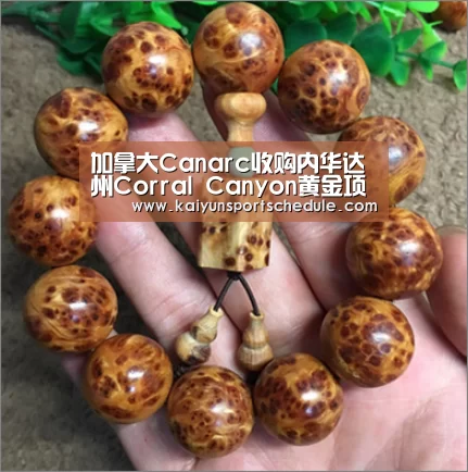 开云电竞