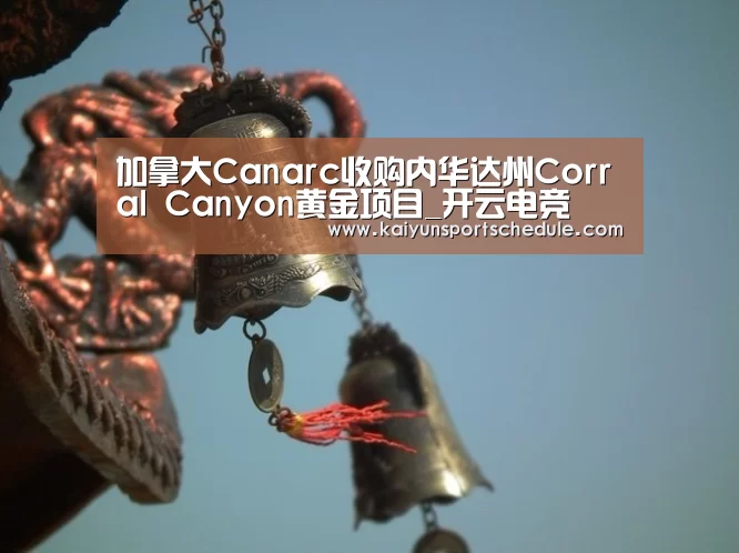 开云体育