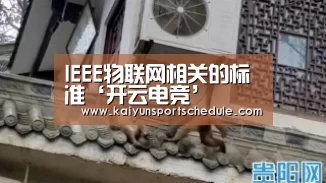开云官网