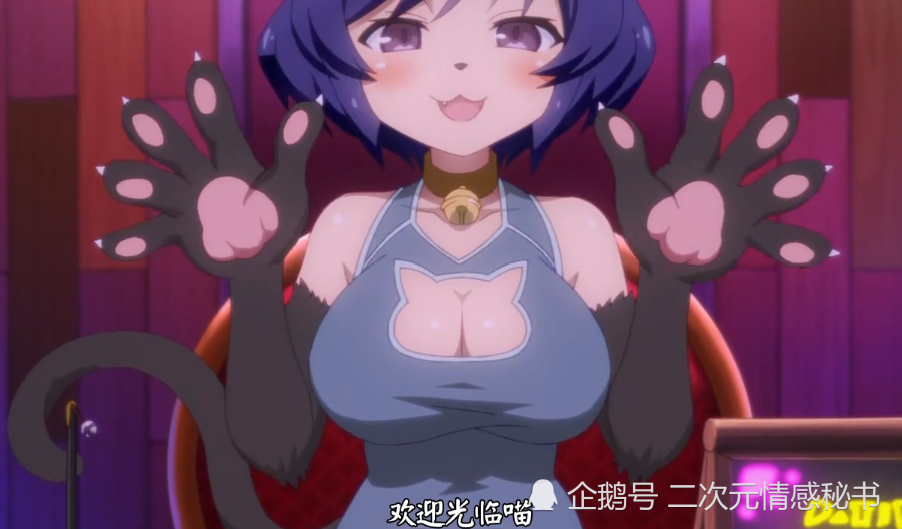 开云首页