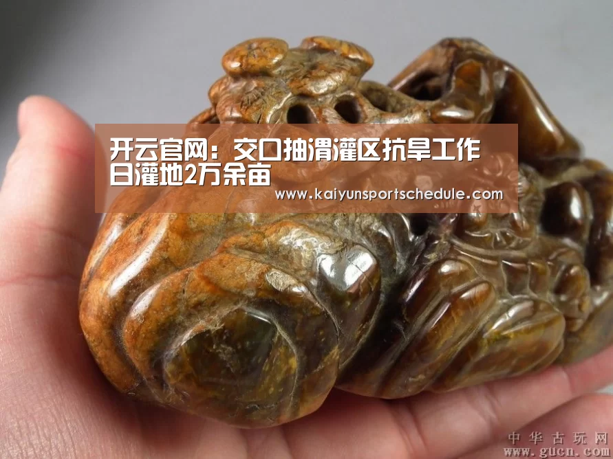 开云官网:交口抽渭灌区抗旱工作日灌地2万余亩(图1) 开云电竞
