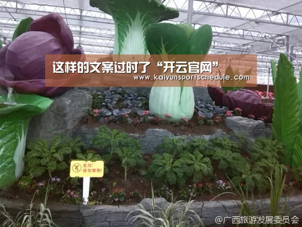 开云体育