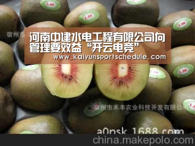 河南中建水电工程有限公司向管理要效益“开云电竞”(图1) 开云首页