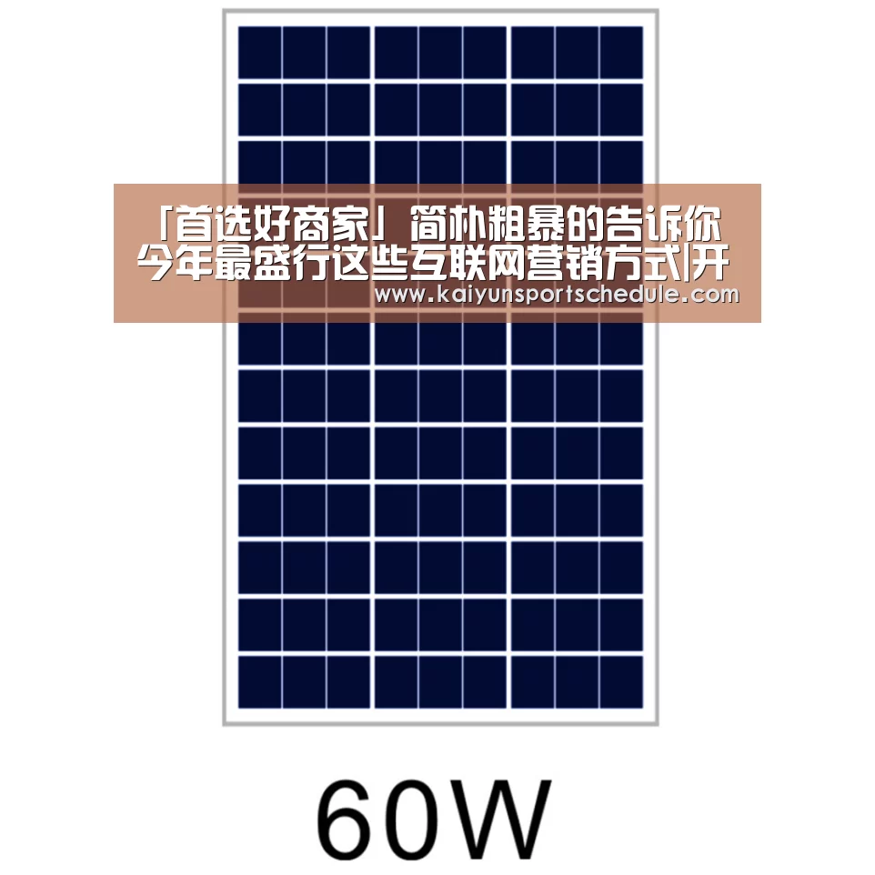 「首选好商家」简朴粗暴的告诉你 今年最盛行这些互联网营销方式|开云体育(图1) 开云官网