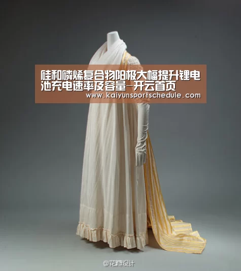 硅和磷烯复合物阳极大幅提升锂电池充电速率及容量-开云首页(图1) 开云电竞
