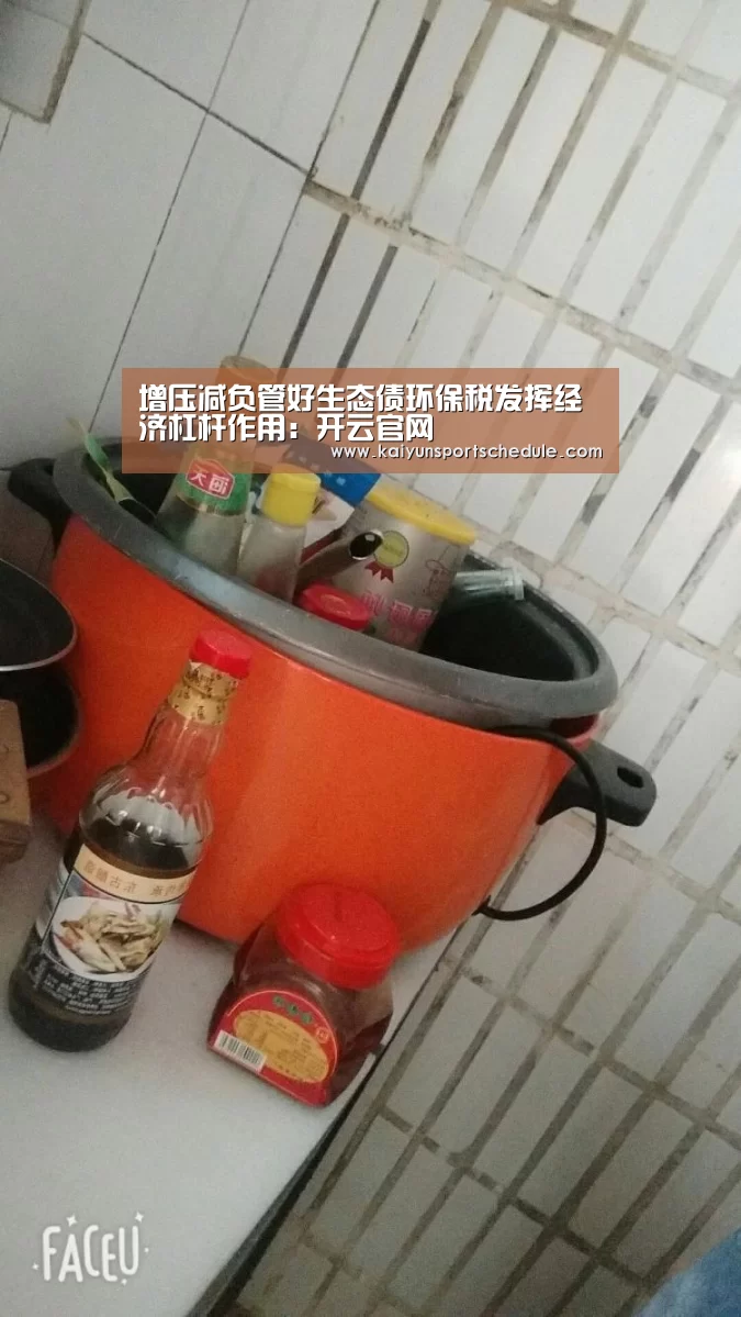 增压减负管好生态债环保税发挥经济杠杆作用:开云官网(图1) 开云首页