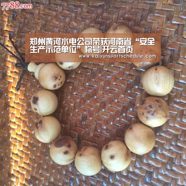 郑州黄河水电公司荣获河南省“安全生产示范单位”称号|开云首页(图2) 开云体育