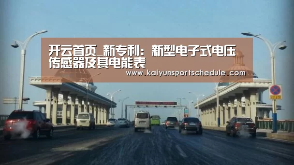 开云首页_新专利:新型电子式电压传感器及其电能表(图2) 开云体育